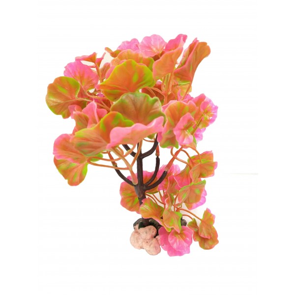 ΔΙΑΚΟΣΜΗΤΙΚΟ ΦΥΤΟ ΕΝΥΔΡΕΙΟΥ